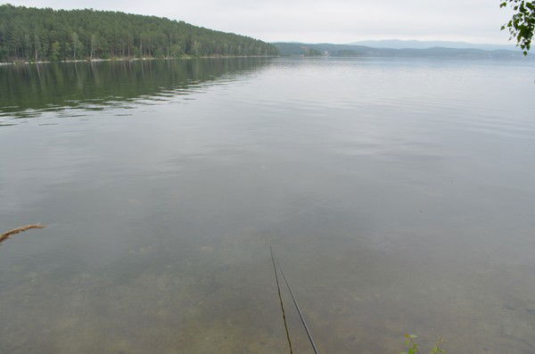 Ринат Галимуллин