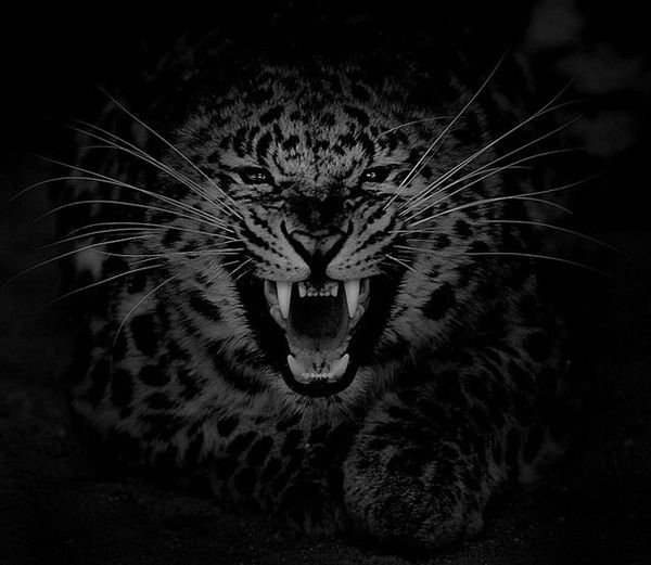 Аманжол Еселхан