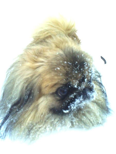 Сергей Анишкин