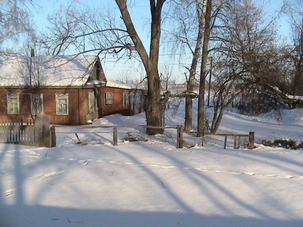 Ирина Евдокимова