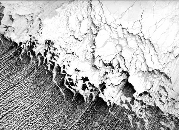 Нина Есипенко