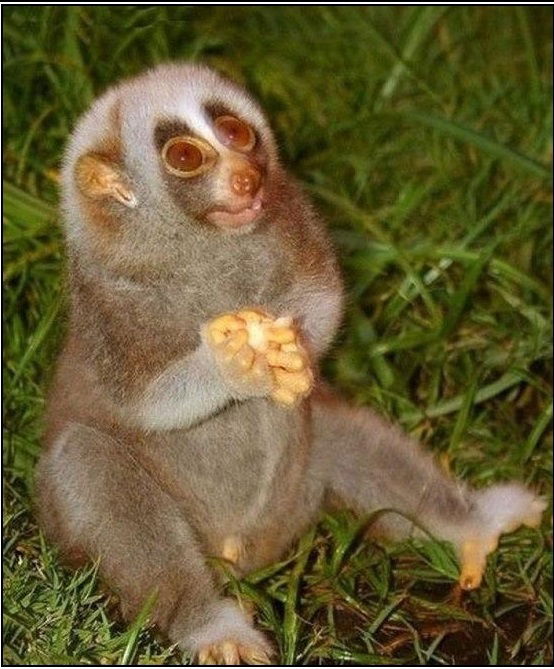 Алексей Бобров