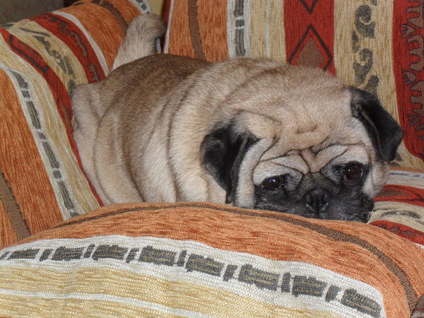 Инна Севрук