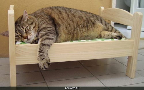 Павел Камедин