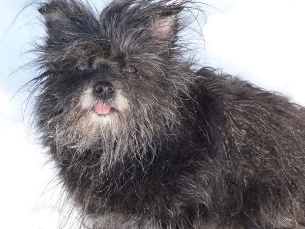 Валентин Панагушин