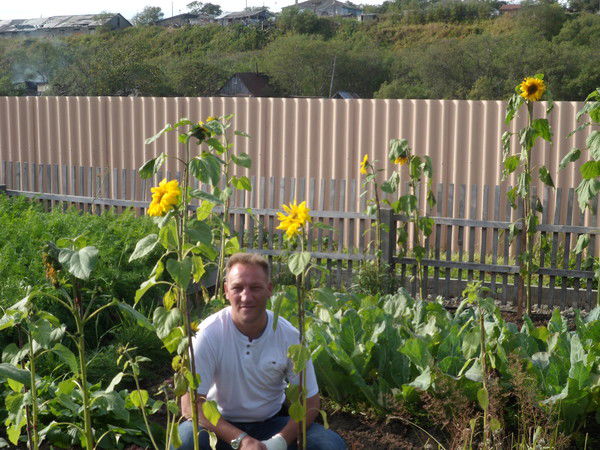 Александр Тимашков