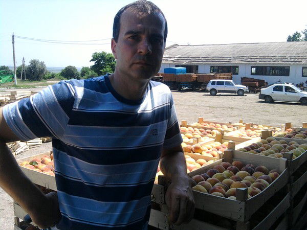 Владислав Добровольский