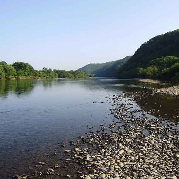 Наталия Лескова