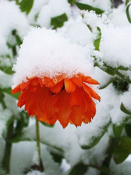 Татьяна Каспиркевич