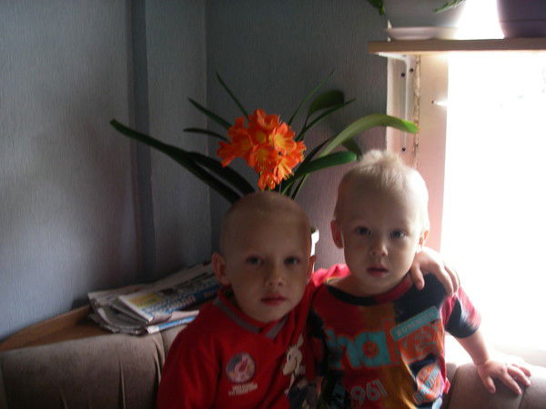 Снежана Лобачева