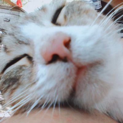 Иван Вдовенко