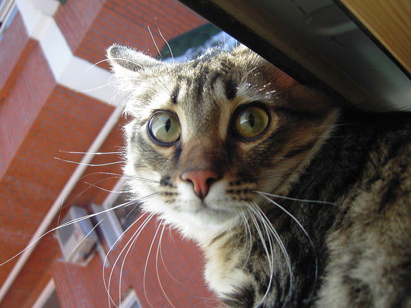 Иван Иванов