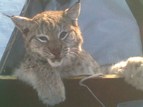 Александр Малыгин