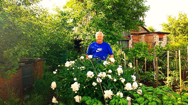 Николай Стяжкин