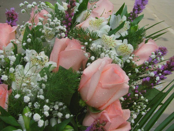 Милана Милая