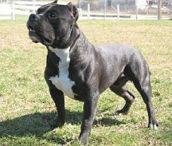 ***кто**** ***то*******