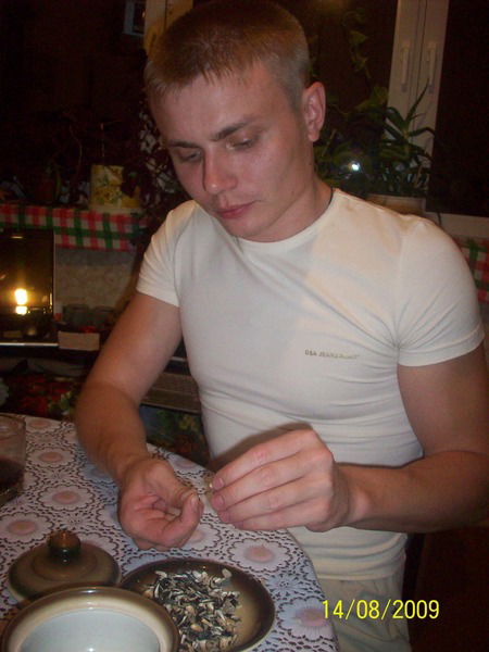 Владимир Новиков