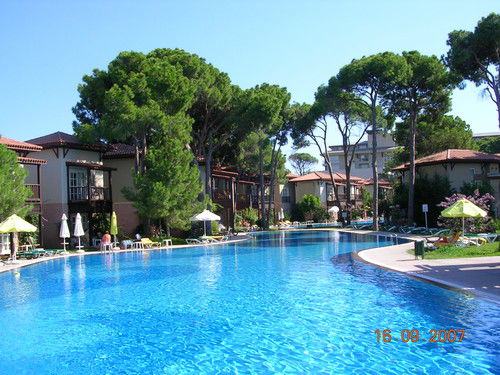 Юлия Пономарева