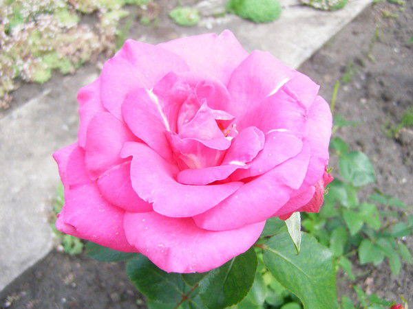 Нина Евсеева