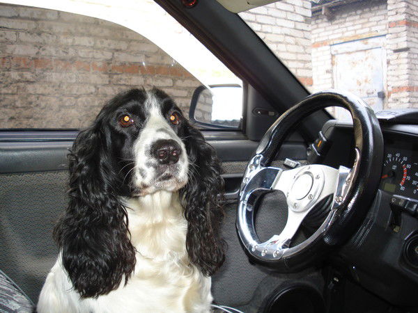 Оля Петькова