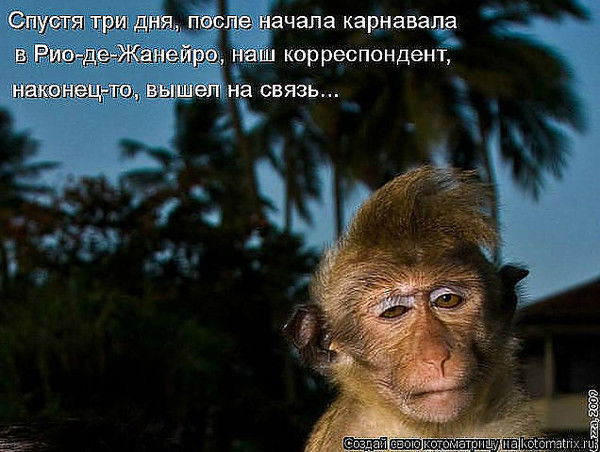 Александр Чаплин