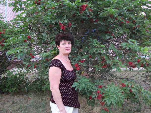 Вера Лимарь