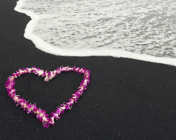 Елена Логинова