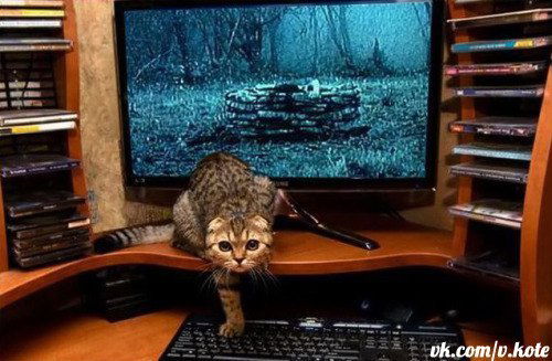 Наталья Кузюрина