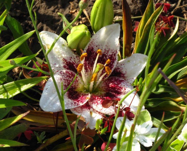 Татьяна Татьяна