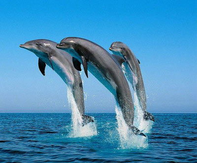 Айгуль Какимбековна