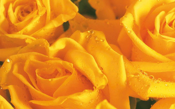 Амина Марченкова