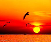 Наталья Батинова