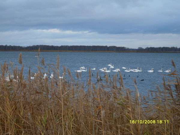 Марина Шакирова