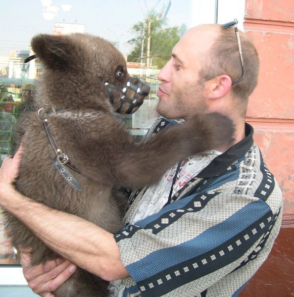 Михаил Молоков