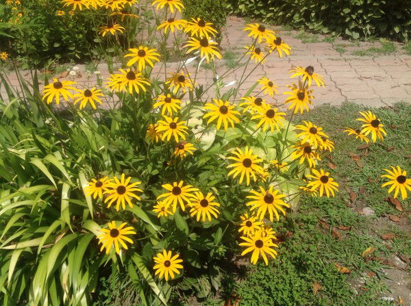 Галина Барбина