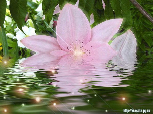 Полина Клепова