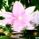 Полина Клепова