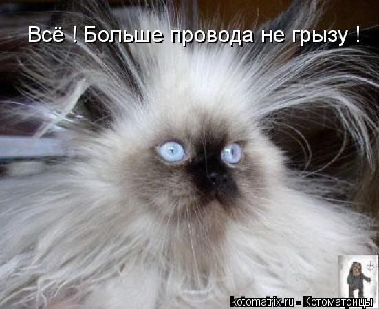 Валентина Подкина