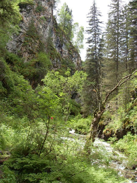 Ирина Коновалова