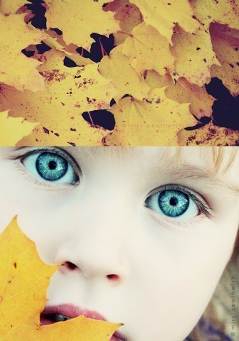 Лерик Катран