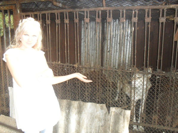 Олеся Варлакова