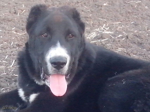 Валера Иванов