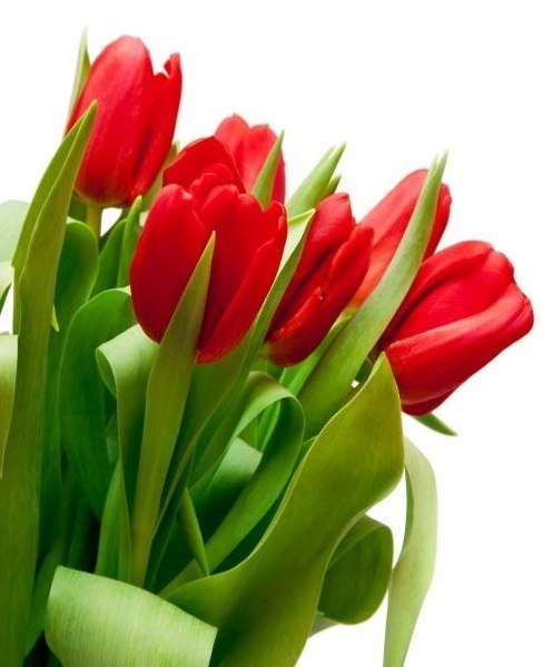 Жибек Байгозиева