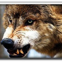 Князь Русский