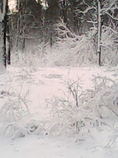 Борис Михайлов