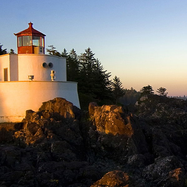 Михаил Шойгу