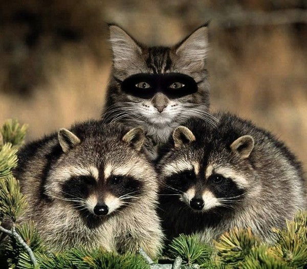 Алексей Андриякин