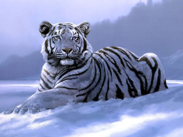 Нурдаулет Жусупов