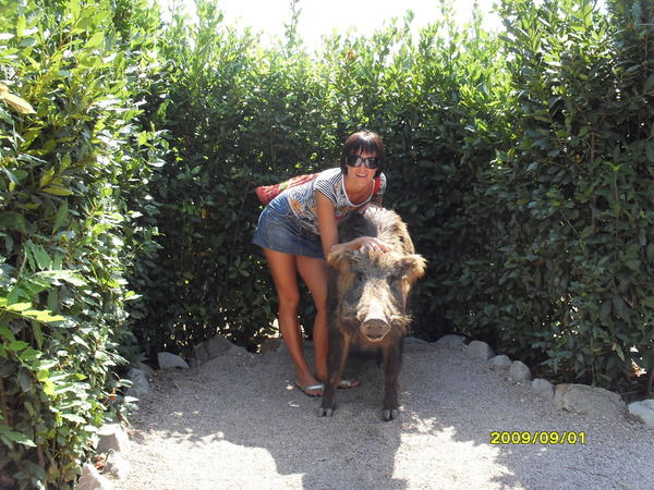 Андреева Анна