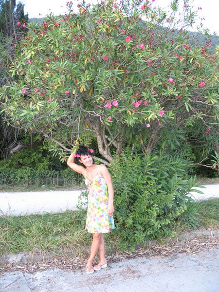 Елена Петрова